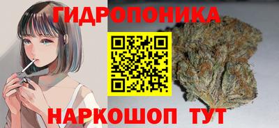 стаф Балахна