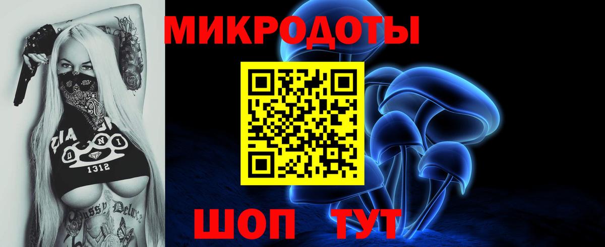 Галлюциногенные грибы Psilocybe Балабаново